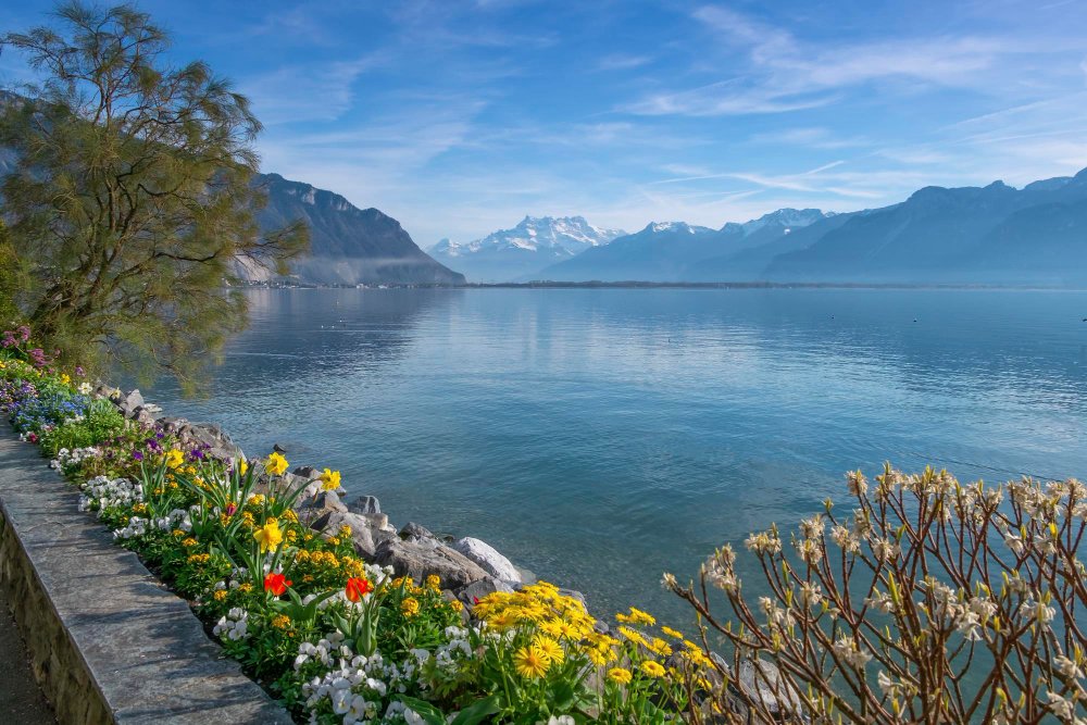 City Tour em Lausanne e Lago Leman - Destaque
