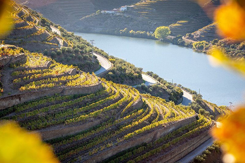 Degustação de Espumantes em Franciacorta (Adro) - Detalhe 1