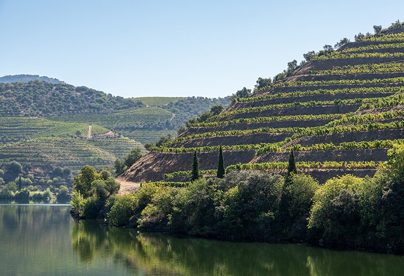 Degustação de Espumantes em Franciacorta (Adro) - Destaque