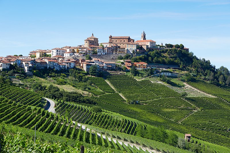 Tour de Vinhos na Franciacorta (Erbusco) - Detalhe 1